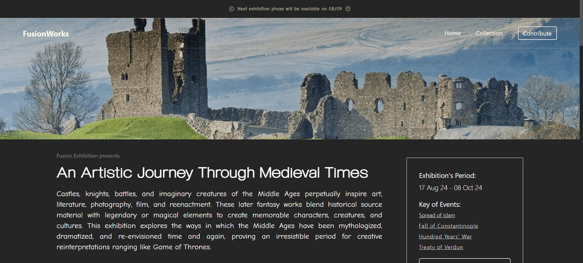 FusionWorks – Digital Artwork Gallery Platform overview 6